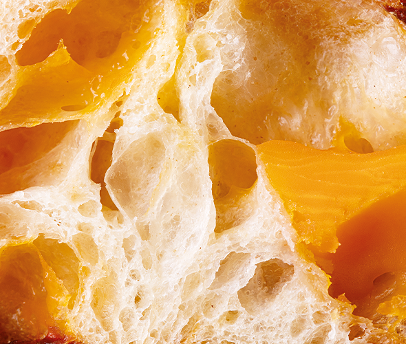 Breadstick with cheese